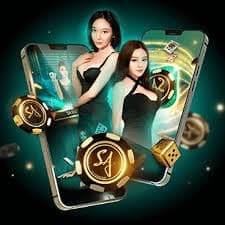 5677bet 5677bet
